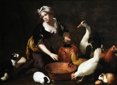 A Young Cookmaid watering Poultry, with a Cat and Guinea Pigs by Giovanni Agostino Cassana