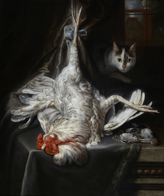 Bird still-life with cat by Samuel van Hoogstraten