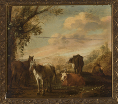 Cattle in the pasture