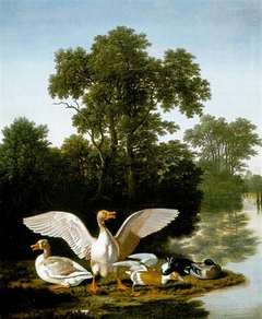 Ducks in a Wooded Landscape by Dirck Wijntrack