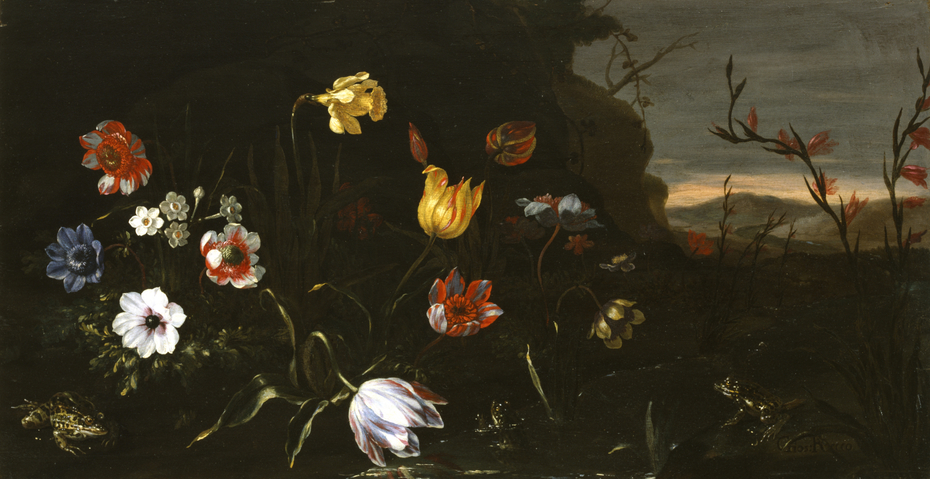 Flowers by a Pond with Frogs