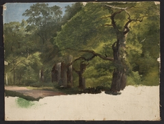 Forest landscape, sketch by Chrystian Breslauer