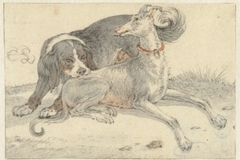 Hazewindhond en een patrijshond by Cornelis Saftleven