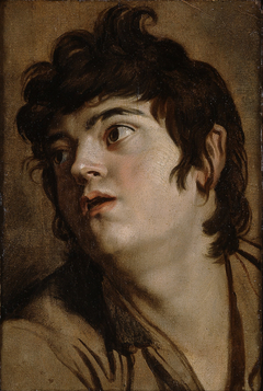 Head of a Young Man by Peter Paul Rubens