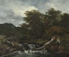 Hilly wooded landscape with a waterfall