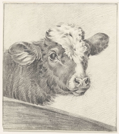 Kop van een koe by Jean Bernard