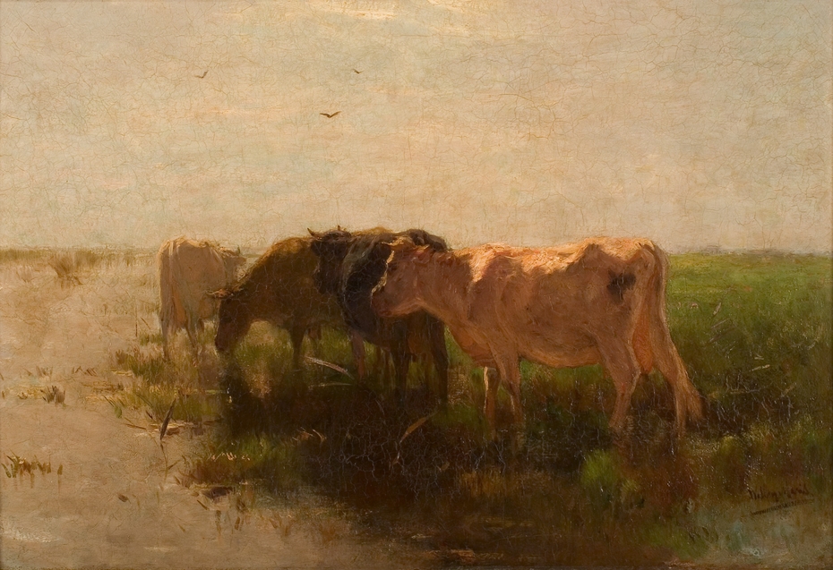 Landschap met koeien