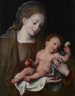 Madonna and Child by Cornelius van Cleve