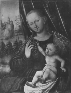 Maria mit Kind und Weintraube (Nachahmer) by Lucas Cranach the Elder