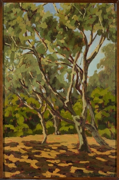 Olives and sunny glade by Jan Bohuszewicz