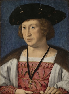 Portrait of Floris van Egmond, Count of Buren en Leerdam by Jan Gossaert