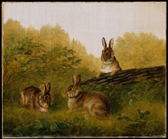 Rabbits on a Log by Arthur Fitzwilliam Tait