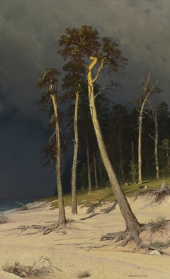 Sandy Coastline by Ivan Shishkin