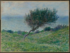 Seacoast at Trouville