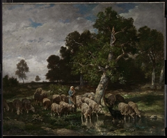 Shepherdess Watering Sheep by Charles Jacque