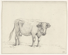 Staande koe, naar rechts by Jean Bernard