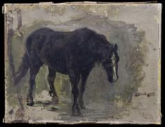 Studie van een staand paard by Jozef Israëls