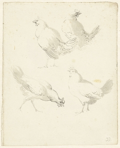Studieblad met vier kippen by Aert Schouman