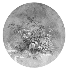 Study of Ground Foliage (from Cropsey Album) by Anonymous