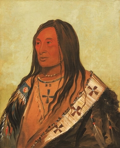 Táh-zee-keh-dá-cha, Torn Belly, a Distinguished Brave by George Catlin