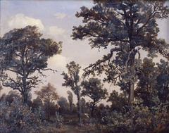The Large Oak Tree, Forest of Fontainebleau by Théodore Rousseau