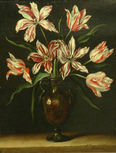 Tulips in a Vase by Jacques Linard
