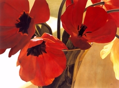 Tulips by Ron Doyle
