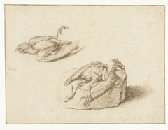 Two Studies of a Dead Bird by Jacob de Gheyn II
