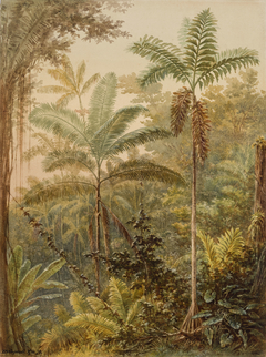 Vegetação tropical (atribuído)