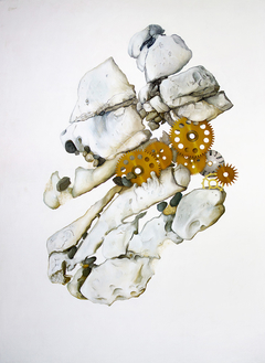 Volcanic rocks embedded with various objects by Hone Williams