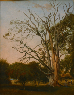 Woodland Scene with a Dead Tree