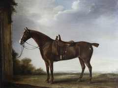 A Chestnut Hunter saddled for a Lady by Thomas Weaver