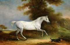 A Dappled Grey Hunter called 'Spangle' and a Terrier called 'Reveller' by John Ferneley
