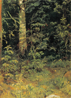 Birch and rowan by Ivan Shishkin