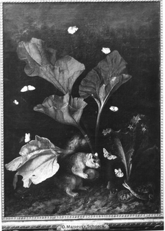 Blumenstillleben mit Schmetterlingen, Eichhörnchen und Schlange by Otto Marseus van Schrieck