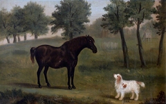 'Bob and 'Jock', Black Horse with Dog by Francis Sartorius