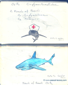 Carnet Bleu: Encyclopedia of…shark, vol.I p32 by Pascal by Pascal Lecocq