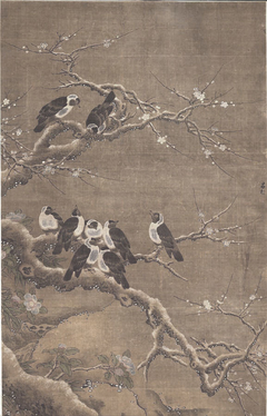 Collared Crows on Winter Prunus by Anonymous