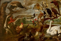 Concert of Birds by Frans Snyders