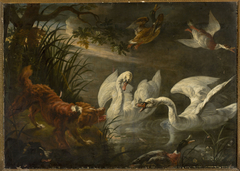 Dog and swans