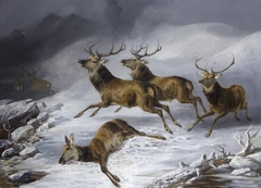 Five Stags fleeing and a Dead Doe lying in the Snow by Byron Webb