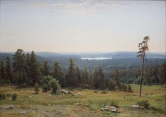 Forest distant views by Ivan Shishkin