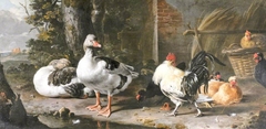 Fowl and Geese by Melchior d'Hondecoeter