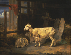 Heath Ewe and Lamb by James Ward