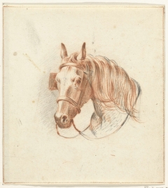 Hoofd van een paard met oogkleppen, van voren by Jean Bernard