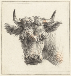 Kop van een rund by Pieter Gerardus van Os