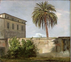 Palm Tree behind a Wall by Johan Christian Dahl