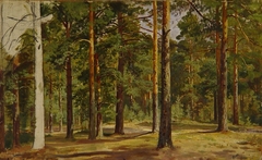 Pine Forest. Unfinished Sketch