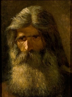 Portrait of a Bearded Man by Mårten Eskil Winge