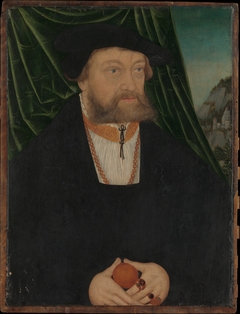 Portrait of a Man by Circle of Lucas Cranach the Elder